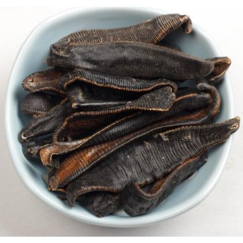 Leeches, sun-dried leeches, dried leeches, health preservation, blood tonic, leeches