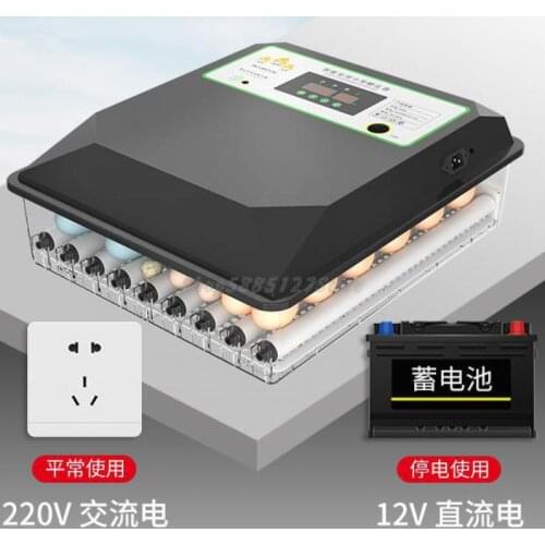 Chicken Goose Parrot Egg Hatching Box Hatching Incubator Small Household Water Bed Incubator Full Automatic Intelligent