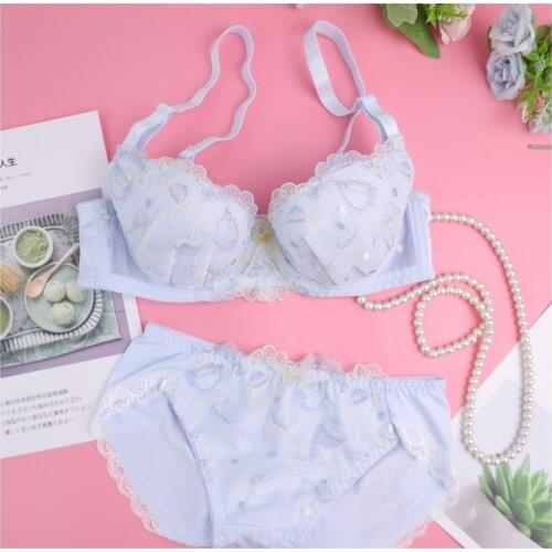 Beautiful Korean Underwear Sexy Japanese White Blue Panties Push Up Bra Set Lace Embroidery Clothes Kawaii Lingerie Femme 2021
