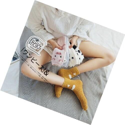 Wholesale Cute Floor Socks Thick Warm Coral Velvet Socks Animal Cartoon Female Socks