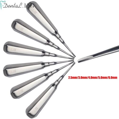 Dental elevator Stainless Steel Tooth Elevator Dentist Tools Stright Curved Root Elevator Dental Lab Equipment surgical instrume
