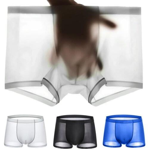 Summer Ice Silk Men Underwear Seamless Transparent Boxer Shorts Ultra Thin Sheer Breathable Comfortable Panties Underpants
