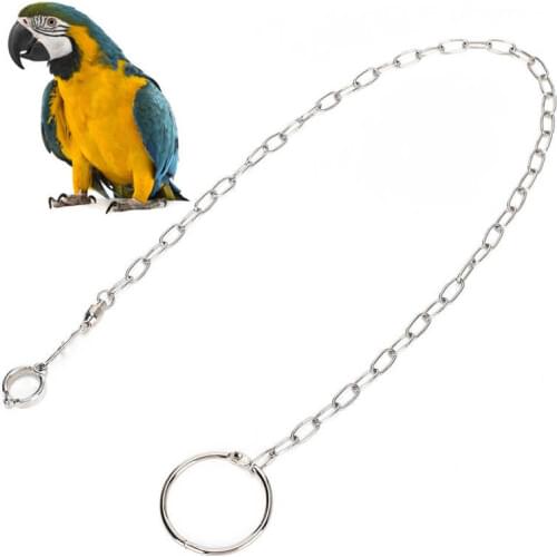 Parrot Stainless Steel Foot Ring Chain Opening Activity Ring for Lovebird Cockatiel Parakeet Bird Stand Anklet