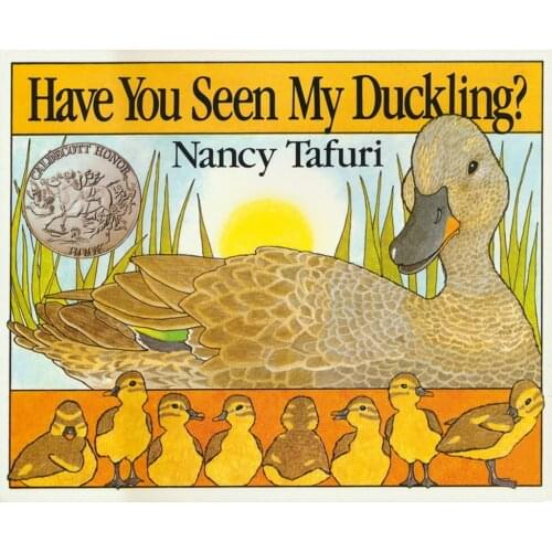 Have You Seen My Duckling English Picture Book for Children English Language Classroom Reading Educational Toys for Children