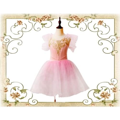 New ballet dance dress girls tutu skirts tulle Dance wear BT-22