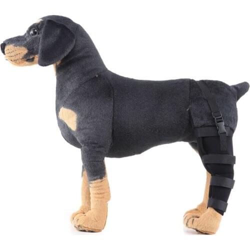 Pet Leg Support Supplies Pets After Surgery To Rehabilitate The Hind Legs and Foot Guards, Postoperative Walking Aids for Dogs