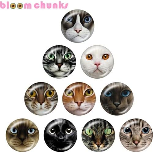 Cat animal 10pcs mixed 12mm/18mm/20mm/25mm Round photo glass cabochon demo flat back Making findings S1481