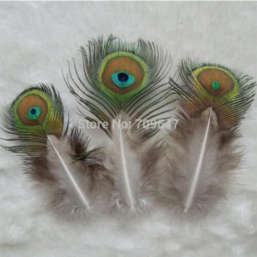 Rare Feathers! 50pcs/Lot 8-12cm Long NATURAL PEACOCK FEATHERS-Fly Tying Material,Small Eye Peacock Feathers