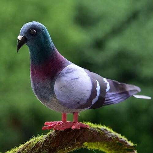 Аксессуары для фотосессий KABOER China At AliExpress