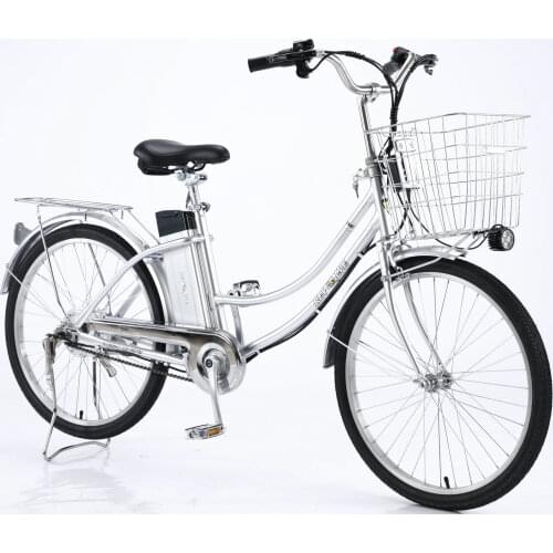 24INCH ELECTRIC BICYCLE 48V 10AH Lithium Battery 250W Motor EBIKE