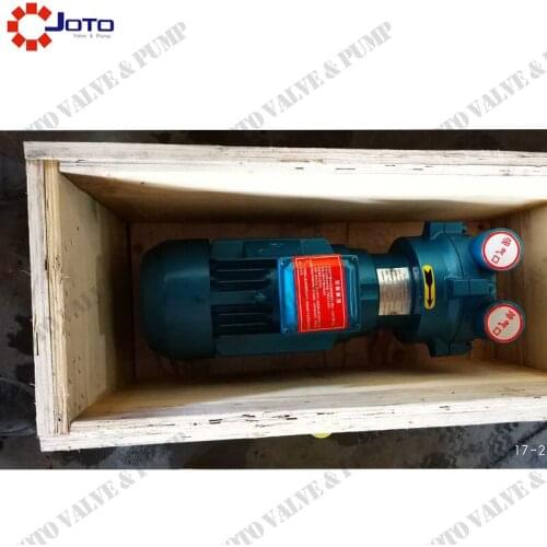 Hot sale 2BV2061 380v 50hz the whole set Cast Iron liquid ring vacuum pump(stainless steel impeller)