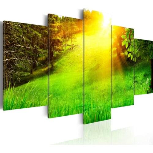 Picture-forest and sun-200x100 cm