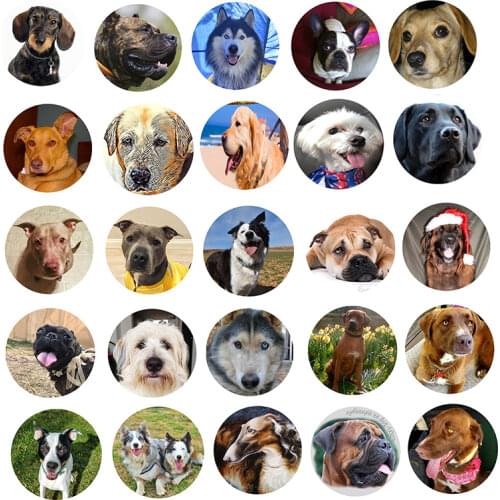 FLTMRH Round photo glass cabochon spring Dog back Making findings 8mm 10mm 12mm/14mm/18mm/20mm/25mm 30mm