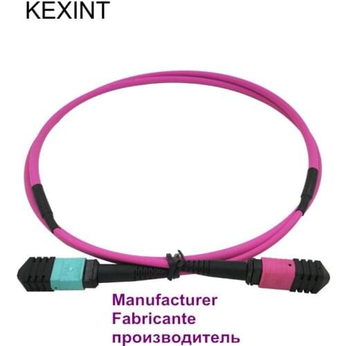 Fiber optic patch cord MTP-MTP OM4 12core 40G/ 3M Wholesale