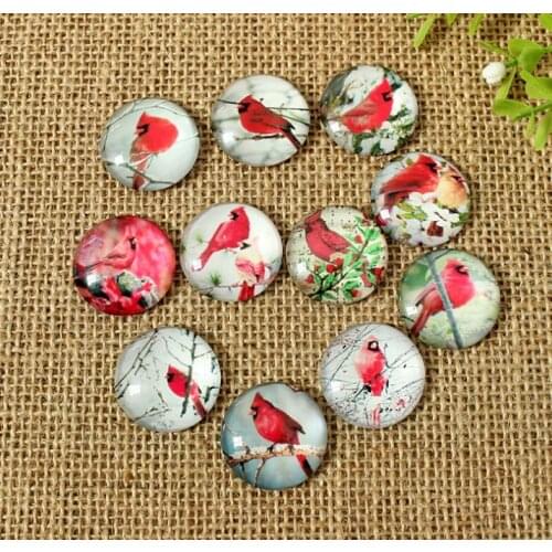 Bird Mixed Color Printed Glass mosaic Dome Cabochons Round Cabochons mosaic Tiles Pendant Craft Jewelry Making