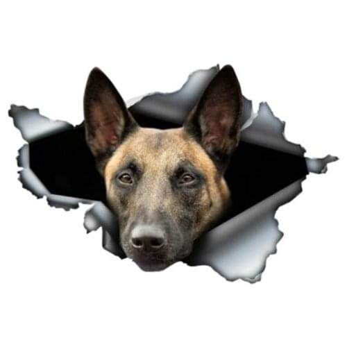 Broken Window Belgian Malinois Vinyl Decal Car Stickers for Car-window bumper door hood Wall Pet Dog Wonderful and Scary