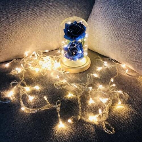 Beauty LED Rose Lamp Bottle Desk Light Flower Night Lamp Romantic Valentines Day Birthday Gift Decoration Beast Battery Powered