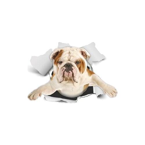 Cool 3D British Bulldog Gift Funny Bulldog Bull Dog Men Sport Gym Towels for Adult Women Swimming Beach Travel Towel Bath
