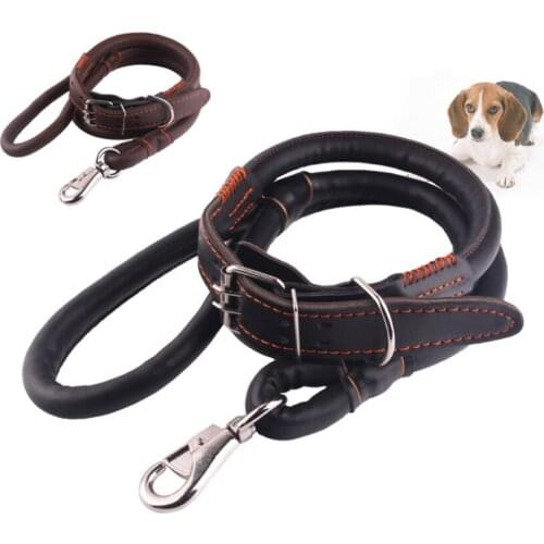 Dog Leashes Large And Medium-Sized Dogs Leather Double Head Traction Rope Breakaway Leash Dog Training Running Rope