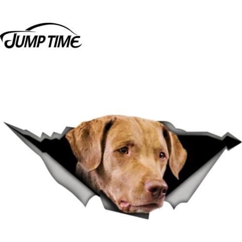 Jump Time 13cm x 5.6cm Chesapeake Bay retriever Sticker 3D Car Styling Torn Metal Decal Funny Car Stickers Window Bumper