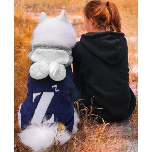 Autumn Winter Large Animal Dog Clothes Clothes Warm Hooded Sweatshirt Casual Coat For Collie Labrador Golden Retriever Husk