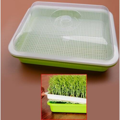 BPA Seed Sprouter Tray With Lid Cover Soil-Free Hydroponic Bean Sprout Grower Plate