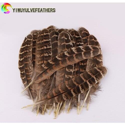 50Pcs Natural Pheasant Feathers for DIY jewelry accessories performance Home Hotel plumas decoración Chicken Pheasant Tail Plume