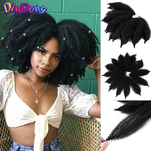 DinDong African Braids