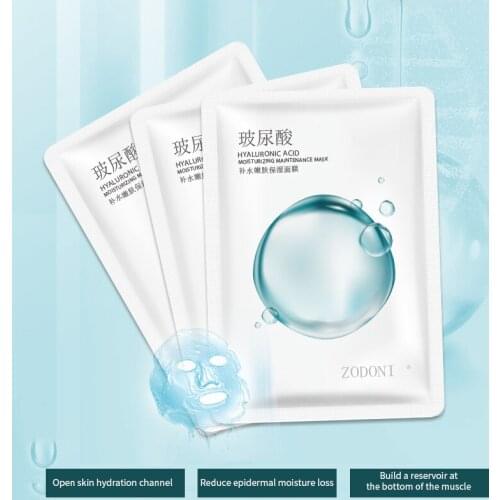 Hyaluronic Acid Moisturizing Skin Rejuvenating Mask Sheet Niacinamide Repairing Cleansing Moisturizing Skin Care Products TSLM1