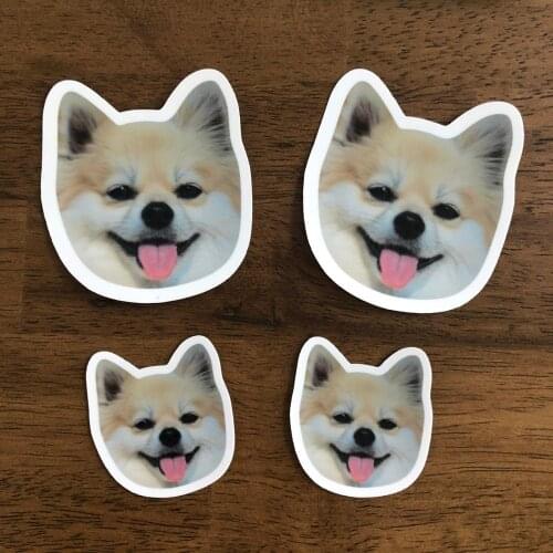 Custom Pet Stickers Personalized Cat Dog Bird Vinyl Diecut Stickers for Waterbottle Notebook Laptop Pet Lover Gift