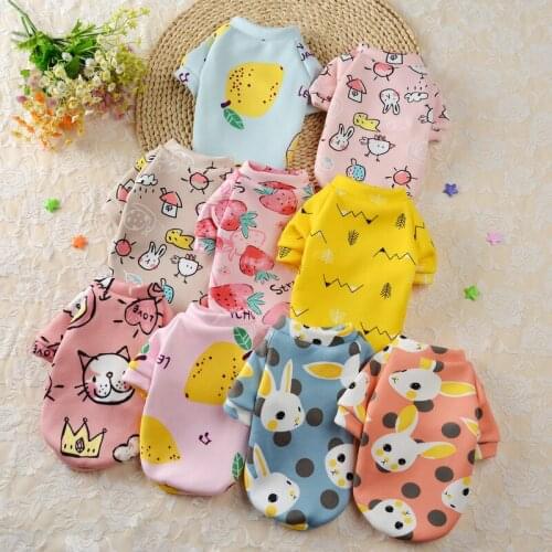 Cute Print Small Dog Hoodie Coat Winter Warm For Small Dogs Cat Spring Clothing Chihuahua Shih Tzu Sweatshirt Puppy Cat Pullover