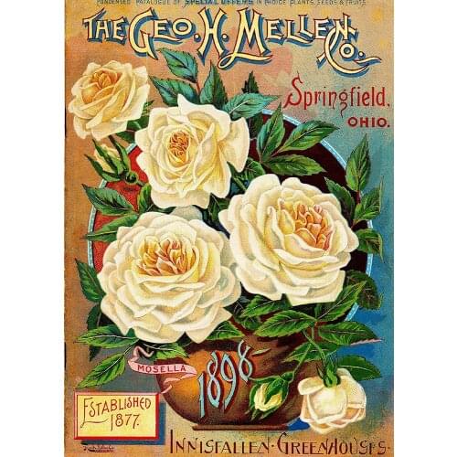 TYmall Wall Art 1898 Mellen Rose Vintage Flowers Seed Packet Catalogue Advertisement Metal Tin Sign House Decor Gift 8X12 Inch