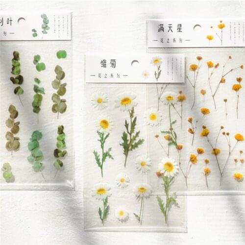Natural Leaves Flowers Specimen Decorative Stickers Scrapbooking Sticker Child Kids DIY Diary Album Self-adhesive Stationery