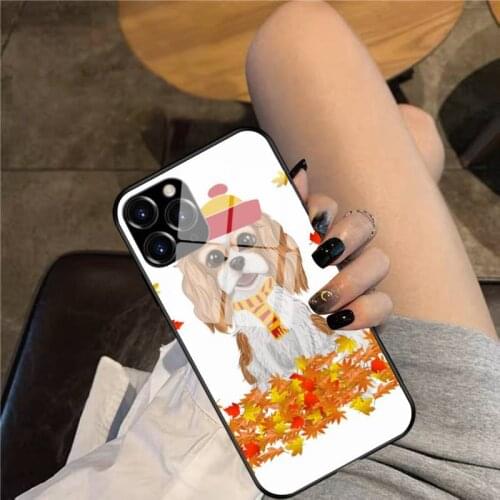 Blenheim Cavalier King Charles Spaniel in Fall Leaves Glass Phone Case For iphone 12 11 Pro Max XS XR X 8 7 Plus SE2 Case