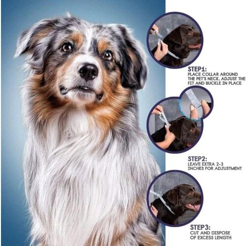 Anti Flea & Tick and Mosquito Collar Control Away Adult Pet Effective Adjustable new
