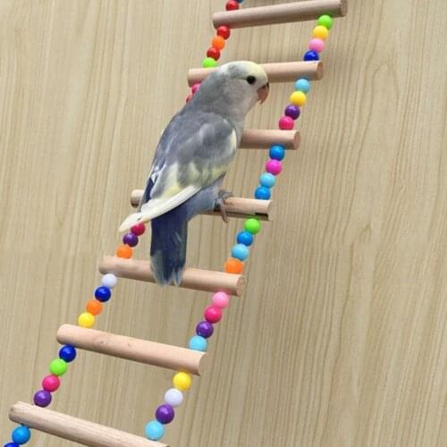Pet Bird Ladder Toys Plastic Beads Natural Wood Sticks Non-Toxic Durable Parrots Hanging Climbing Toys Cockatiels Pets Bird Toys