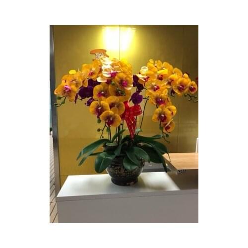 New color real touch PU artificial yellow orange orchid arrangement fake flower home decoration flower set no vase