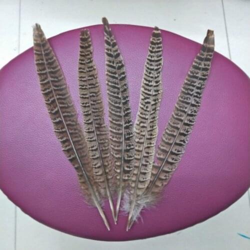 Best selling high quality 500pcs 25-30 cm / 10-12 inches natural pheasant tail feathers, stage decoration