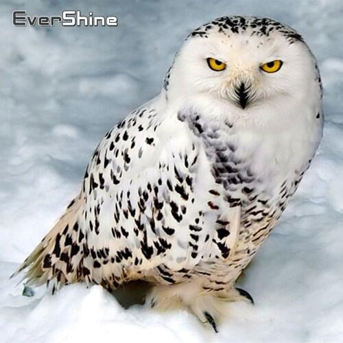 EverShine Diamond Embroidery Owl Full Drill Display Diamond Painting Landscape Snow Cross Stitch Diamond Mosaic Crystal Painting