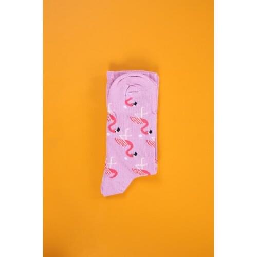 Charm Allday Women's Socks And Hosiery