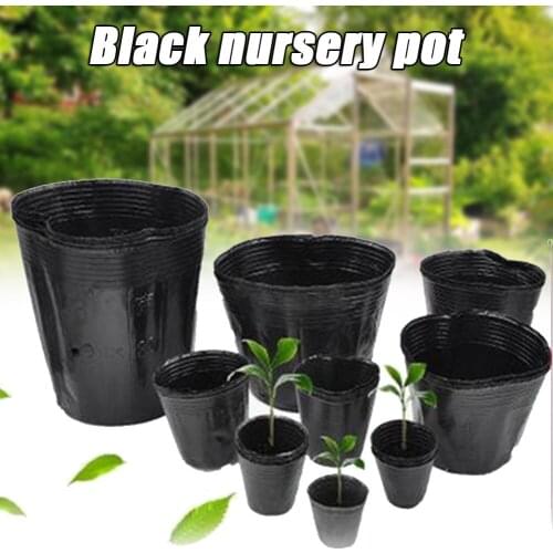 Spot 50/100pcs Plastic Seedlings Starter Pot Plants Nursery Pots for Seedling Germination Best Price