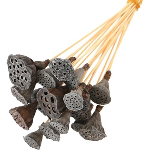 20PCS/Package Mini Natural Dried Brwon Lotus Gray Lilac Blue Gold Dried Flower Wedding Decor Home Decor Dried Grass Preserved