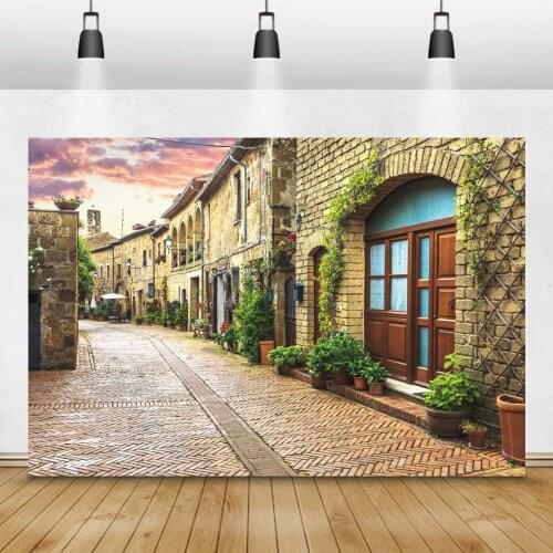 Laeacco Rural Village Town Alley Buildings Vine Potted Plants Spring Portrait Photography Backgrounds Backdrops For Photo Studio