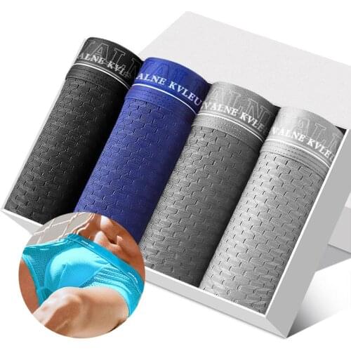 Bear Sastre Mens Silk Briefs