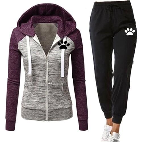 Autumn Casual Tracksuit Women 2 Piece Set Female Hooded Sweatshirt and Pants Sportwear Suit Zipper Hoodies Clothes