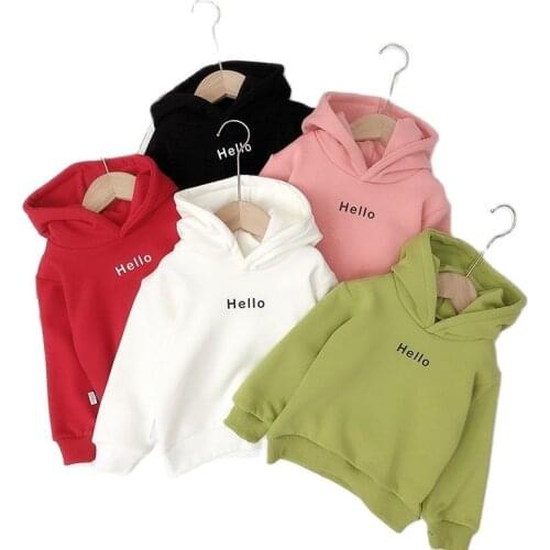 Autumn Winter Children Sweatshirt For Baby Girls Clothes Hooded Sweatshirts For Kids Clothing Toddler Boys Casual Tops 2-6 Years