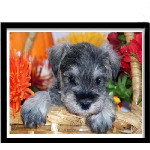 Full Square Round Drill Diy Diamond Painting photos custom pet dog Diamond Mosaic schnauzer dog 5D Diy Diamond Embroidery