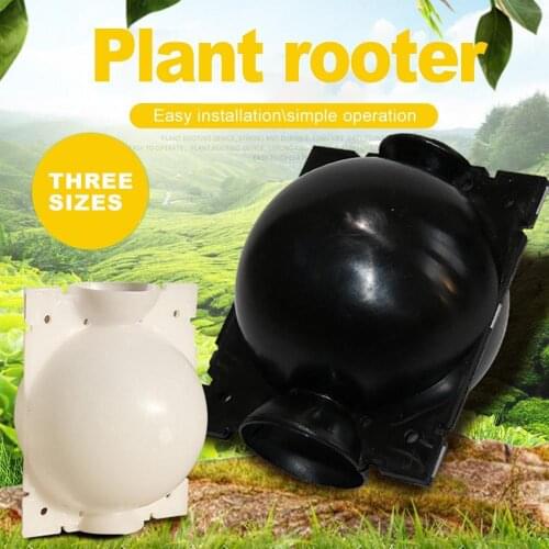 3Pcs/Set Garden Plant Rooting Ball Grafting Root Growing Box Breeding Container