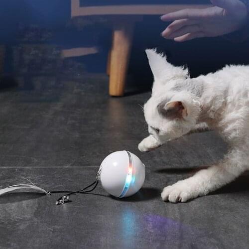 New led light cat toy feather electronic interactive smart ball Pet products accessories for cats toys Interesting products
