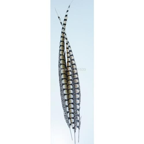 100pcs,24-28inches,60-70cm Nature Lady Amherst pheasant side tail feather, great for home decor, costumes, headdresses,&weddings